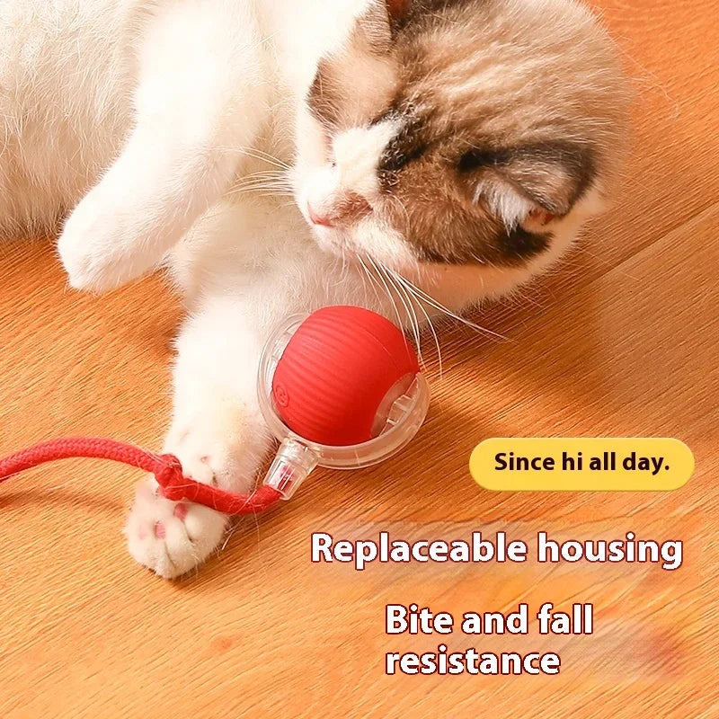 Interactive Cat Toy