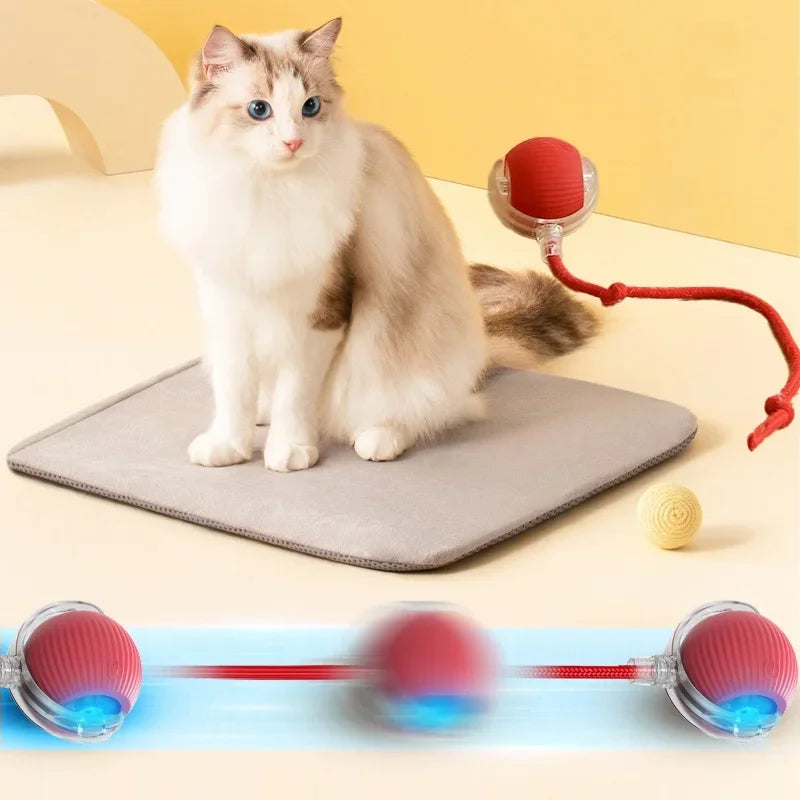 Interactive Cat Toy