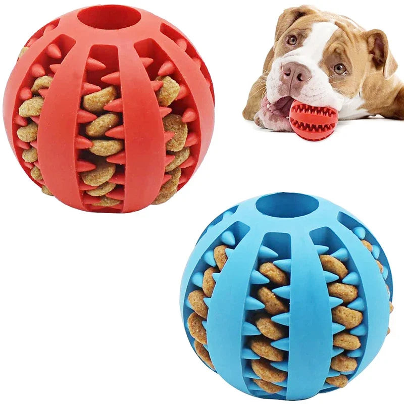 Food Ball Toy