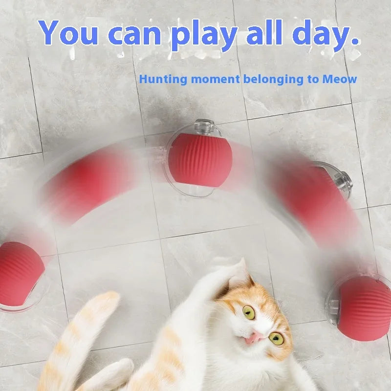 Interactive Cat Toy